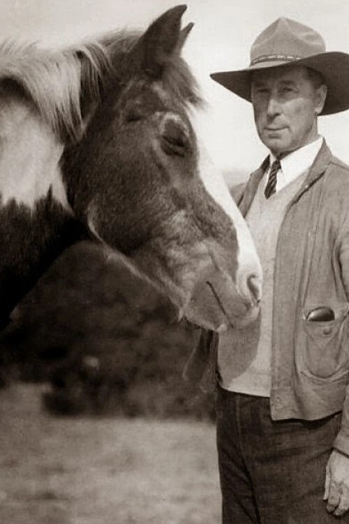 Фото  (Fritz the Horse)