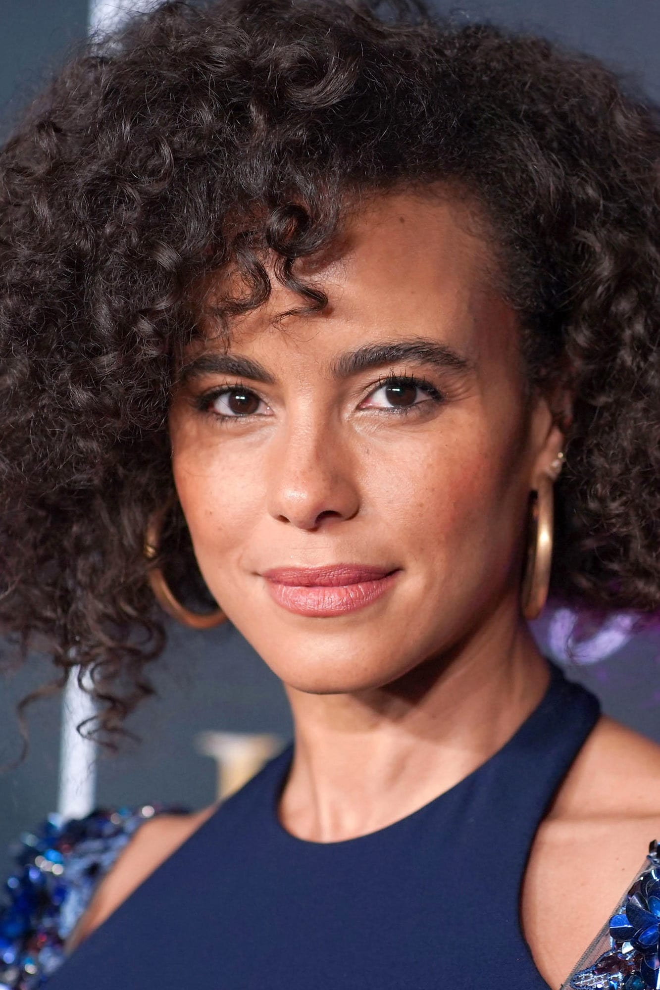 Фото Паріза Фітц-Генлі (Parisa Fitz-Henley)