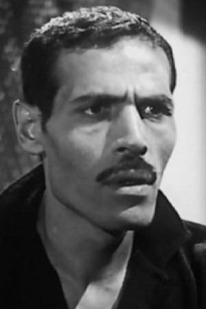 Фото  (Abu ElFotouh Emara)