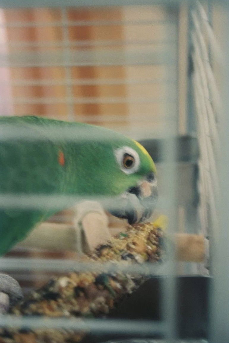 Фото  (Mr. Meeseeks)