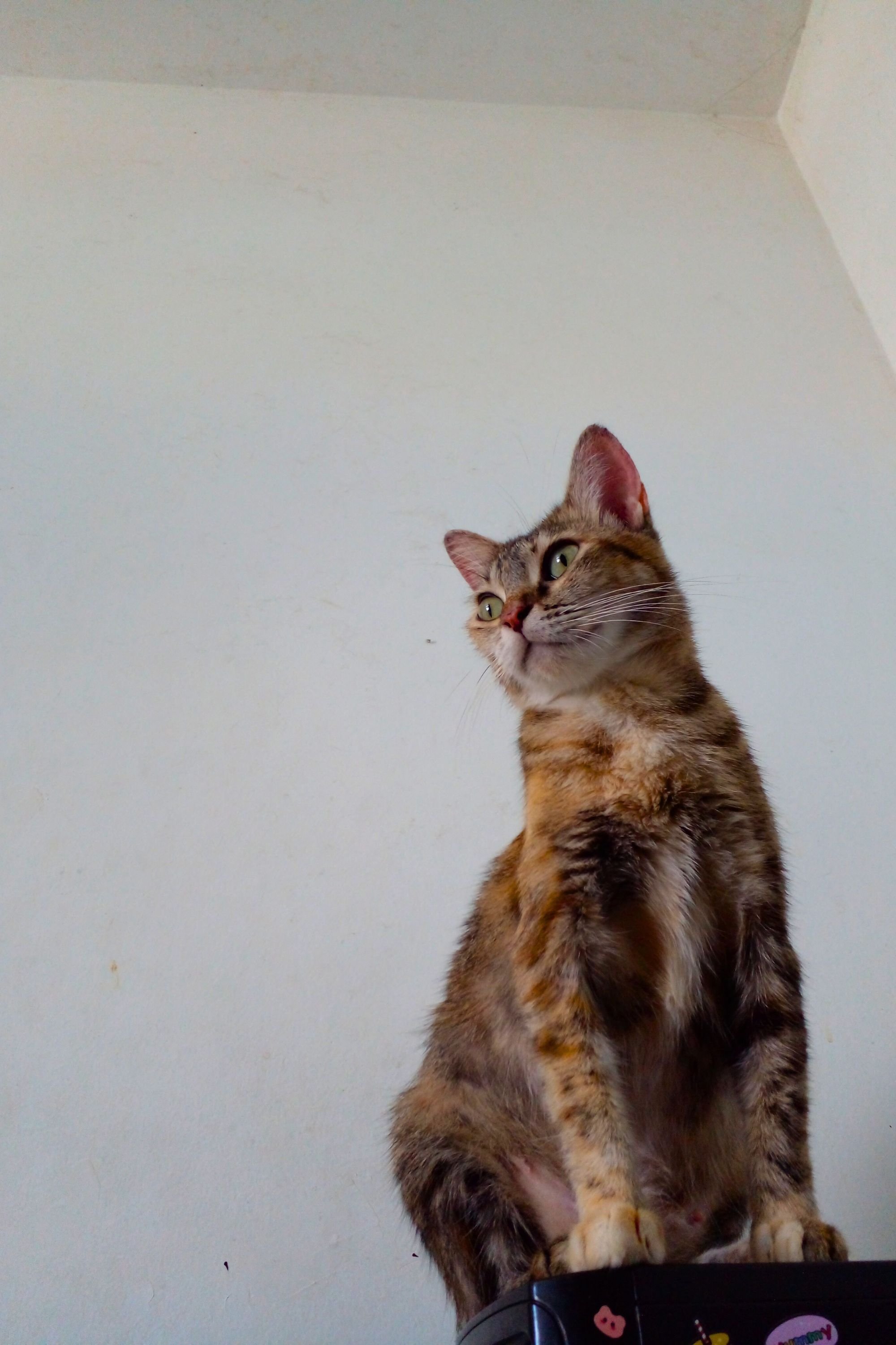 Фото  (Síndrome)