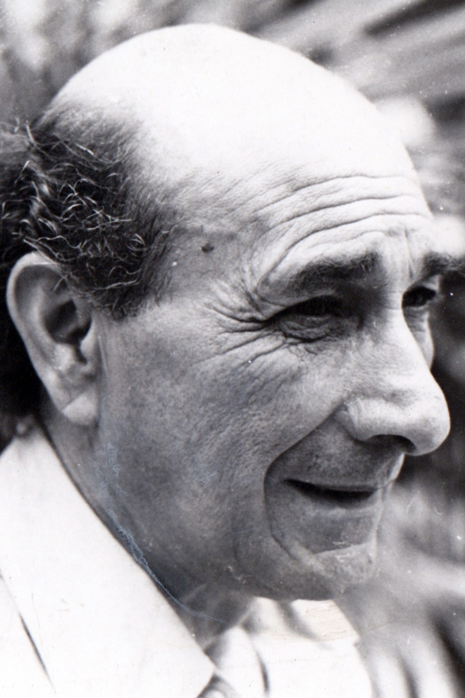 Фото  (Luis Cornejo)