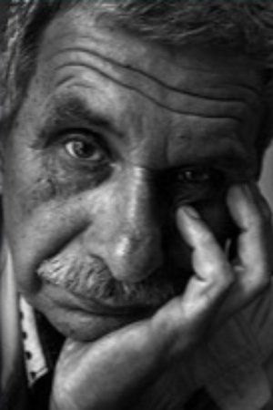 Фото  (Vasyl Trushkovskyi)