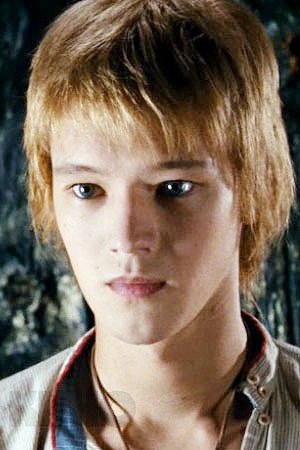 Фото  (Maksim Loktionov)