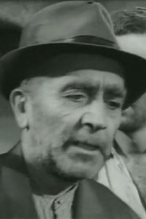 Фото  (Petar Vujović)