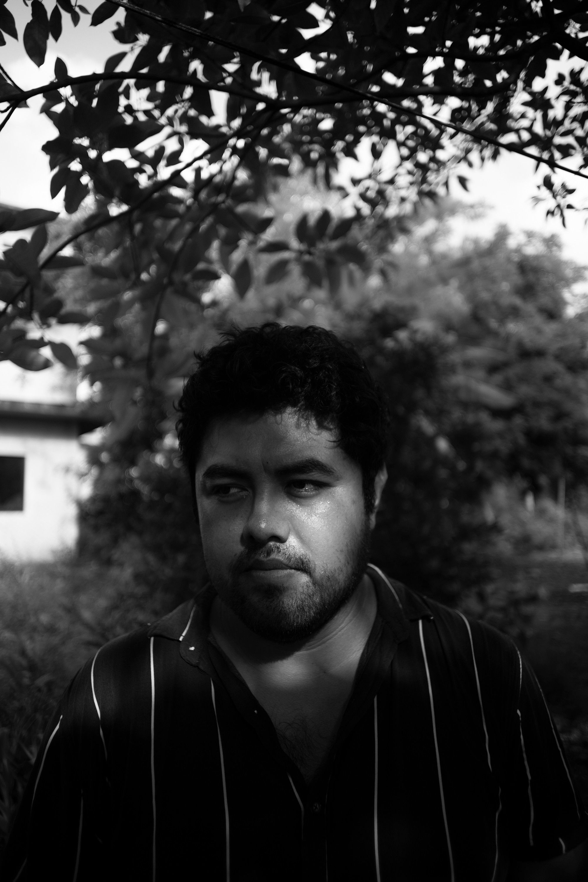 Фото  (Omar Lázaro García)