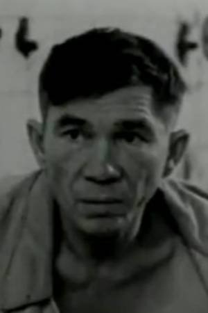 Фото  (Mikhail Mudrov)