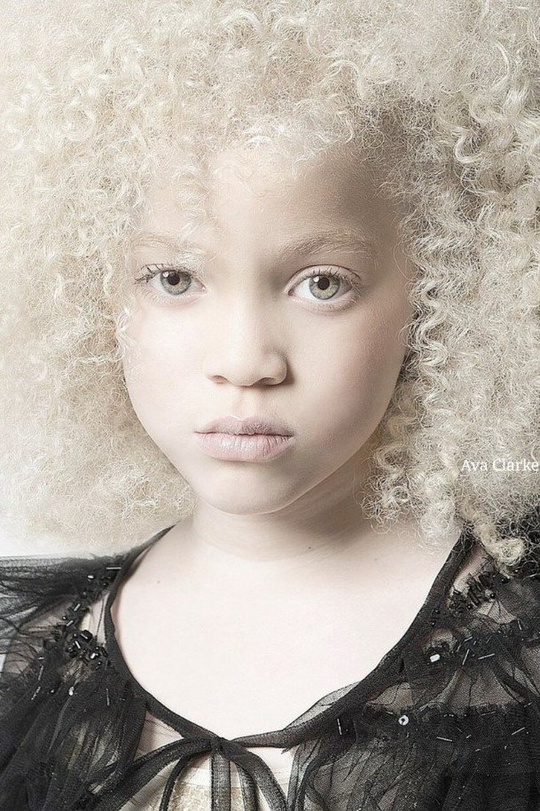 Фото  (Ava Clark)