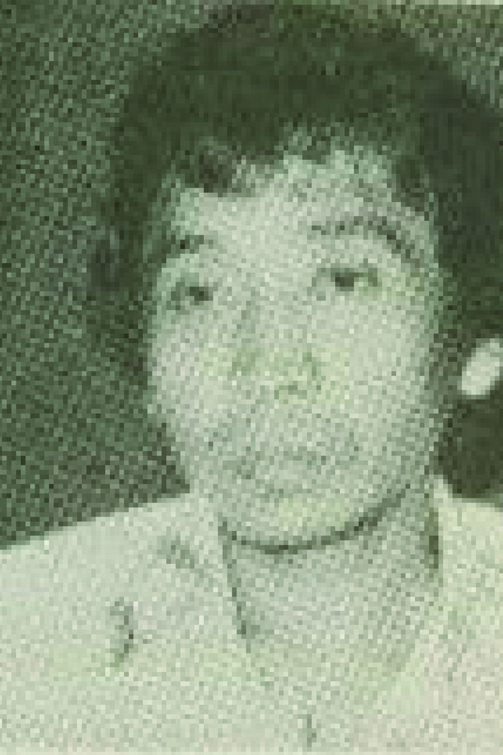 Фото  (Idris Sardi)