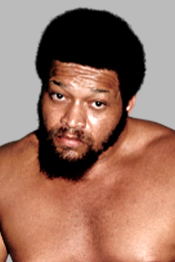 Фото  (Ernie Ladd)