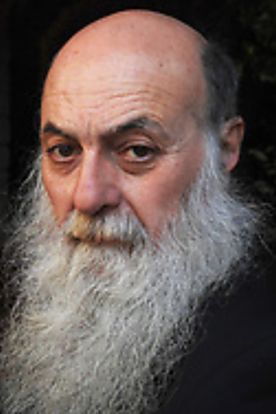 Фото  (Paolo Zaccagnini)