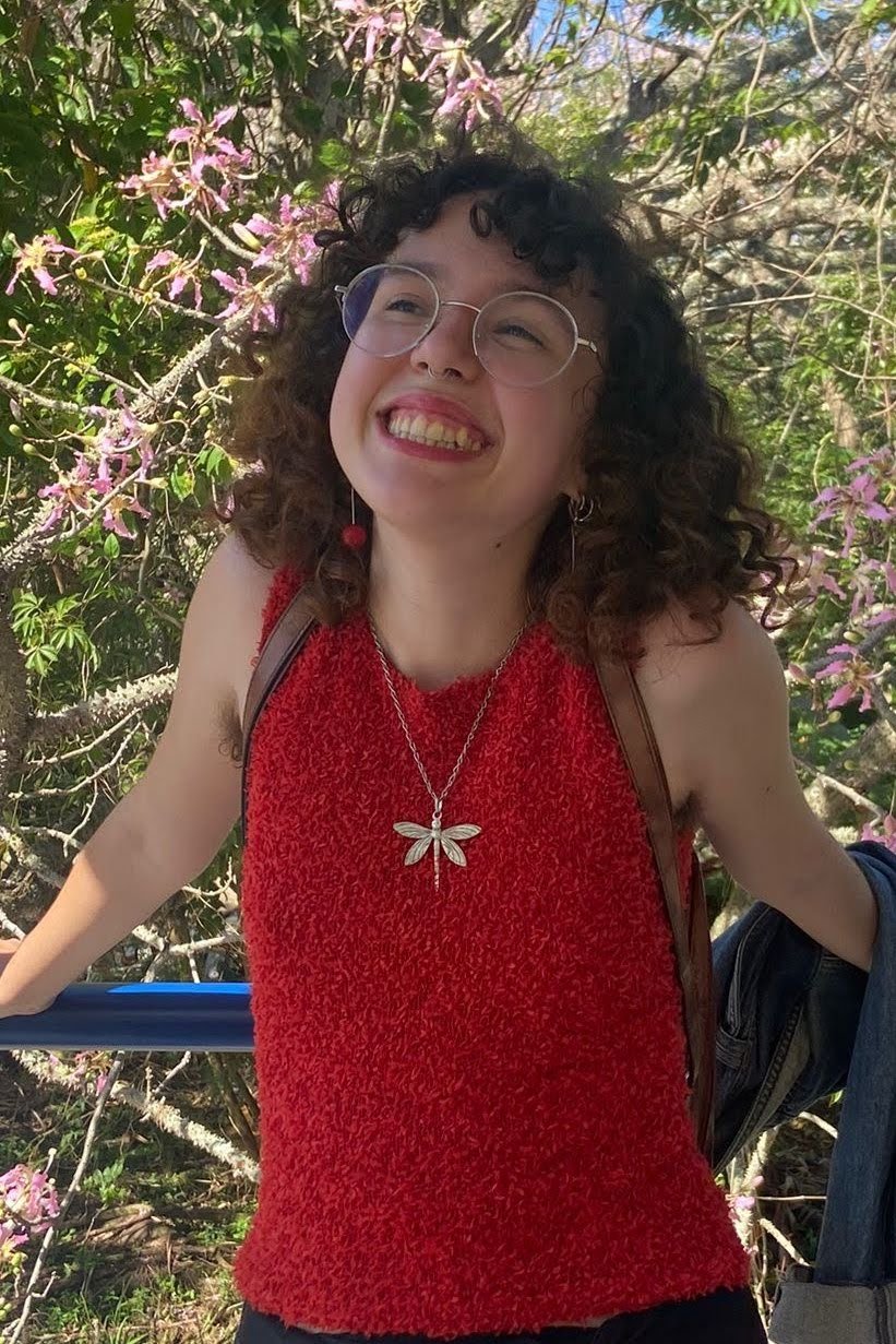 Фото  (Sofia Werlang)