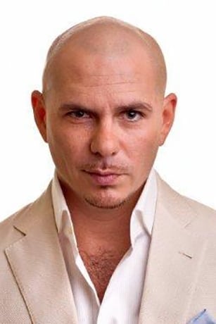 Фото Пітбуль (Pitbull)