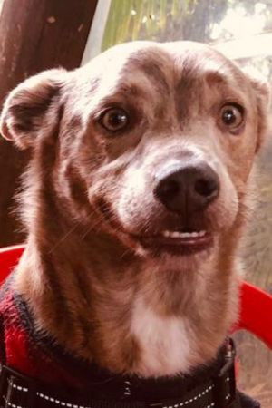 Фото  (Morfeu Ender de Souza)