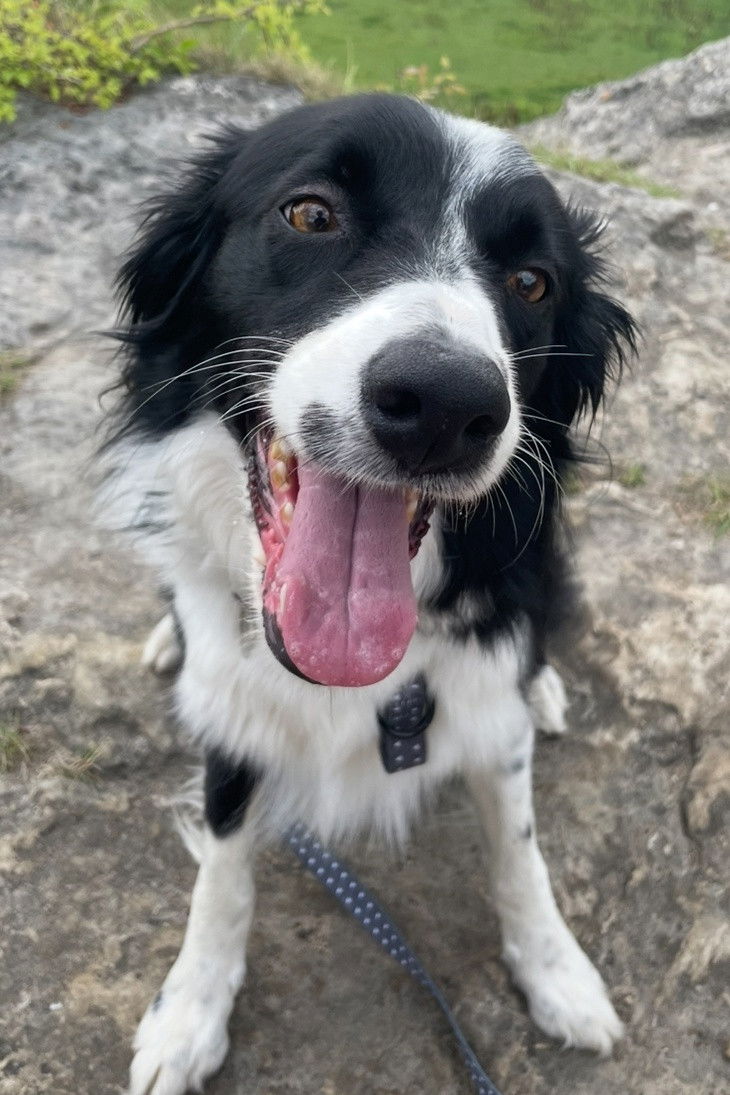 Фото  (Freddie Johnson)