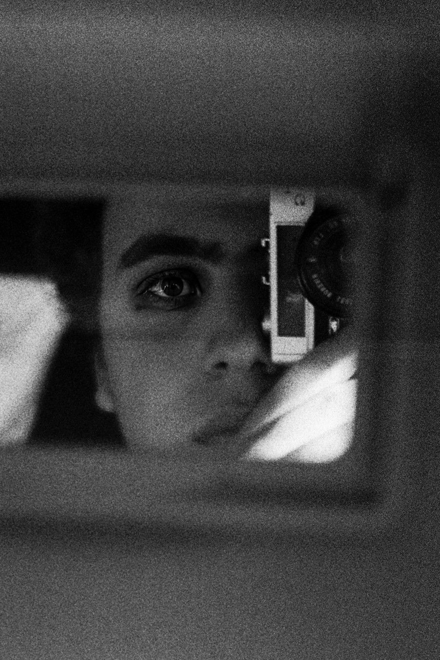 Фото  (Zohar Goldman)