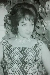 Фото  (Shahla Riahi)