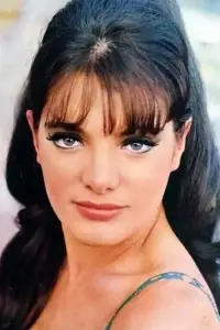 Фото  (Sylvia Sorrente) #511030