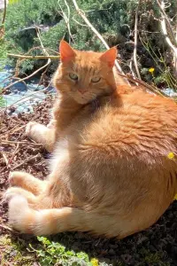 Фото  (Cleo Wachowiak) #436220