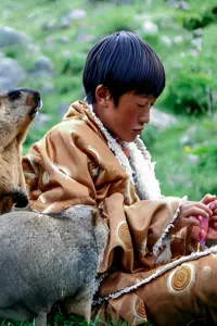 Фото  (索南拉丹) #296836