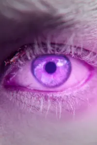 Фото  (Lucy Murfitt) #282483