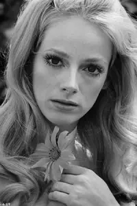 Фото Сондра Локк (Sondra Locke)
