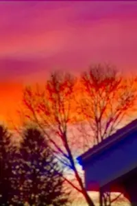 Фото  (The Sunset) #276442