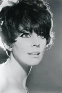 Фото  (Elizabeth Knowles)