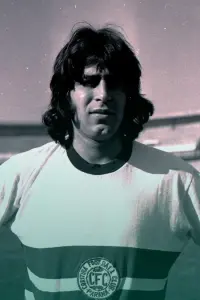 Фото  (Reynaldo Domingues Mendes) #452065