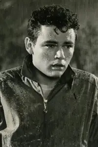 Фото  (Rod Lauren) #505146