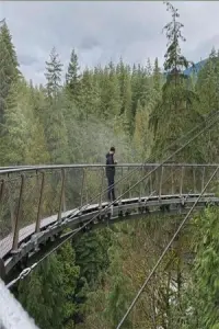 Фото  (Matheus Ozório) #406283