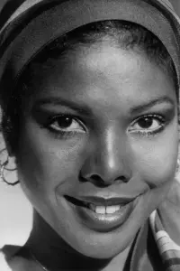 Фото  (Diane Sommerfield) #365497