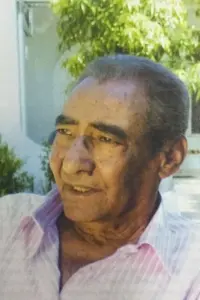 Фото  (Abdelrahman El-Abnoudy)
