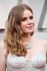 Фото Емі Адамс (Amy Adams)