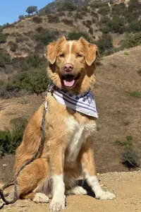 Фото  (Indy) #502277