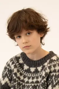 Фото  (Léopold Lafontaine) #514541