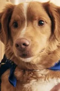 Фото  (Indy) #502274