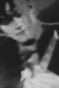 Фото Тобіас Базілі Хаммарстен (Tobias Basili Hammarsten) #521650