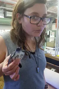 Фото  (Kate Pappas)