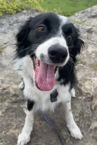 Фото  (Freddie Johnson) #506353