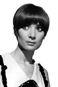 Фото  (Sonia Bruno)