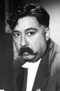 Фото  (Joaquín Pardavé) #496488