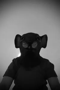 Фото  (Arty Winnfield)