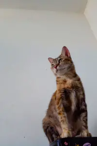 Фото  (Síndrome)