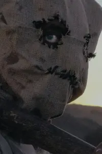 Фото  (Germán Romero) #406592