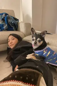 Фото  (Lee Hyun-bin) #487269