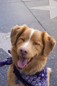 Фото  (Indy) #502275