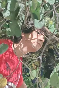 Фото Бруно Сантос (Bruno Santos) #342419