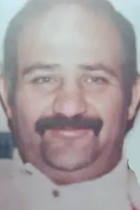 Фото  (Ali Zahedi)