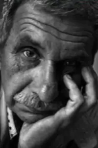 Фото  (Vasyl Trushkovskyi) #511994